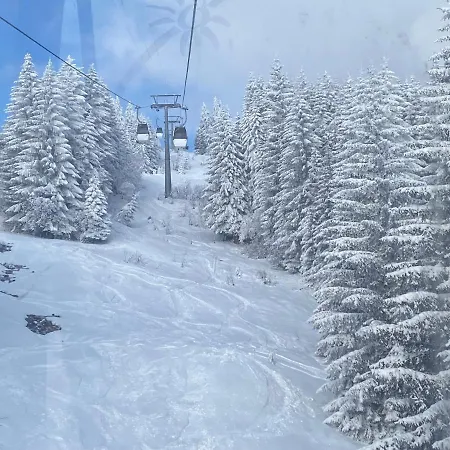 Charming In * Laax