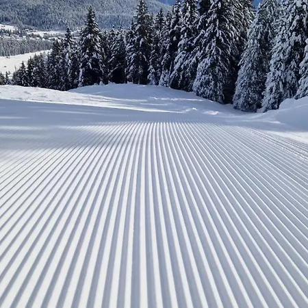 Charming In Apartamento *