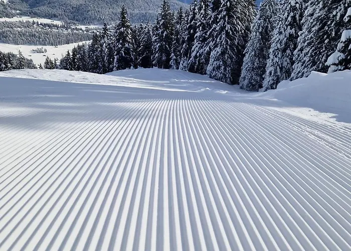 Charming In Appartamento *